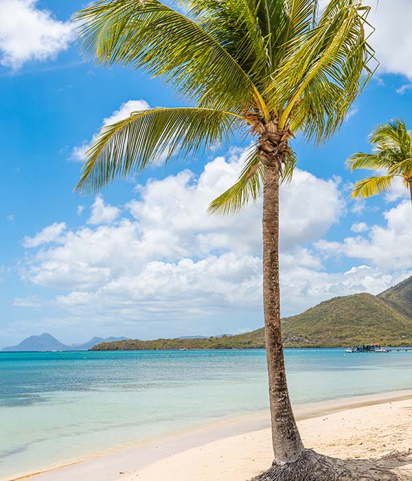 meilleurs plages visiter en voiture en martinique