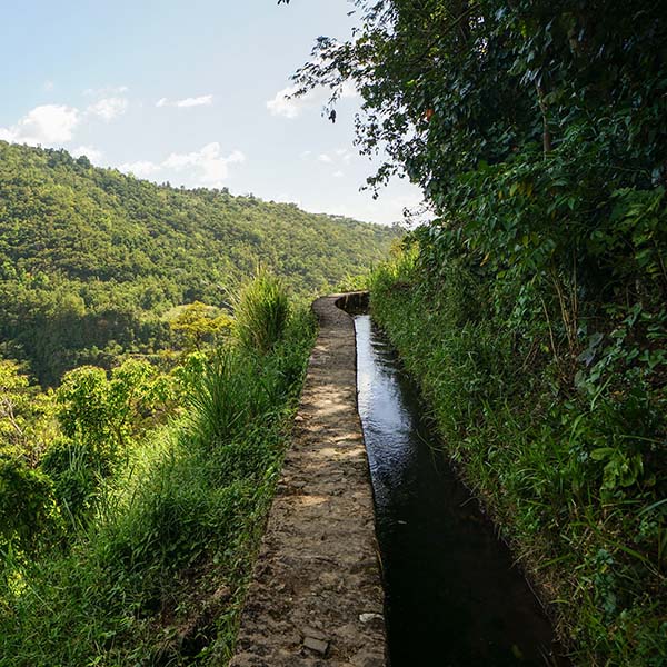 randonnees accessibles voiture martinique