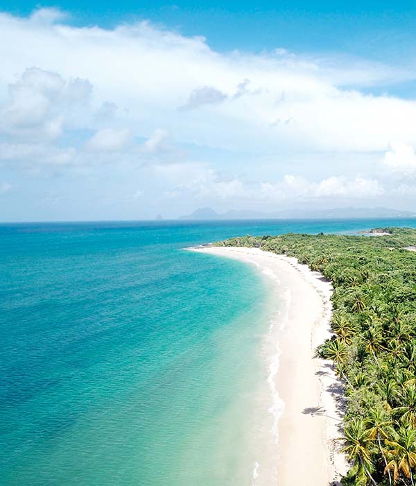 meilleurs plages martinique