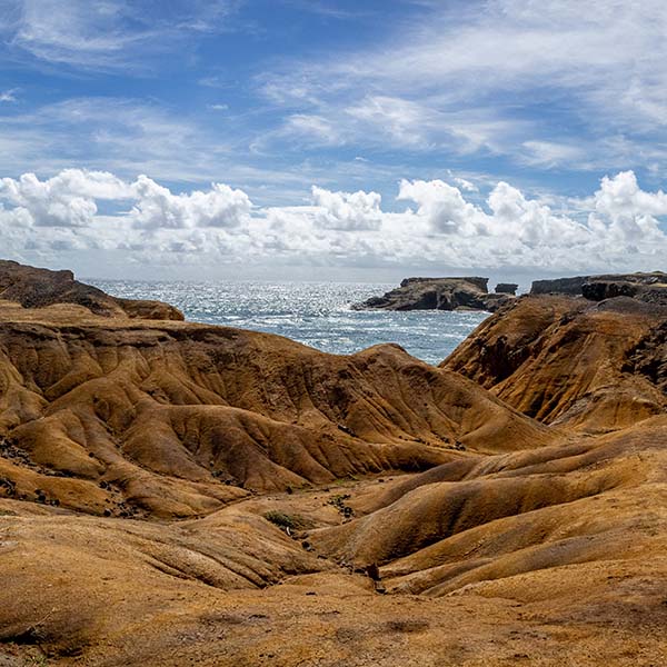 Location auto en martinique